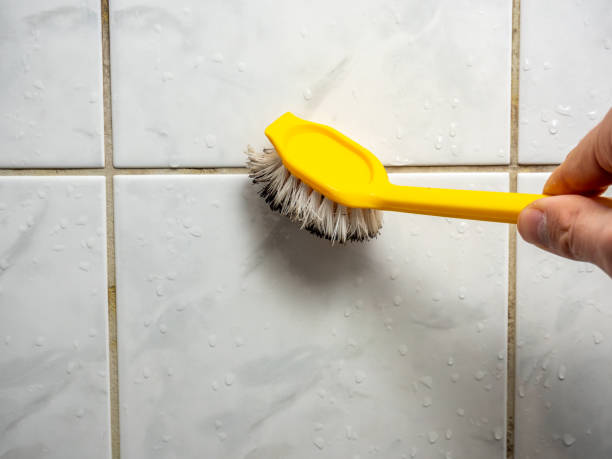 Best Best Mold Removal Companies  in Wilkinson Heights, SC
