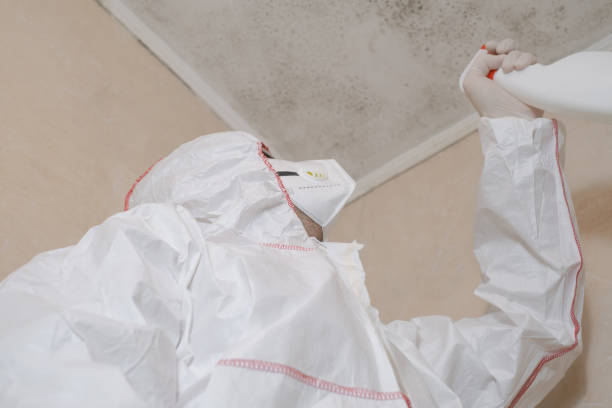Best Local Mold Removal Service  in Wilkinson Heights, SC